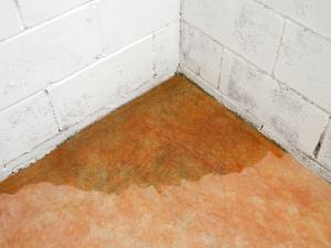 water in corner of wet basement floor