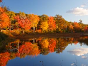 climate change, maine, evergreen home performance, me