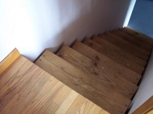 Basement waterproofing is the evergreen thing to do