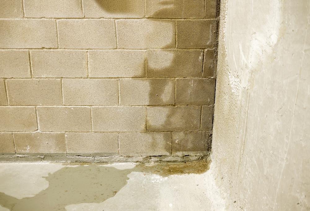 wet concrete walls in basement