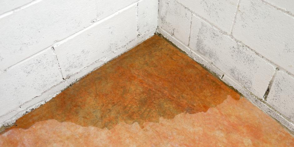 water in corner of wet basement floor