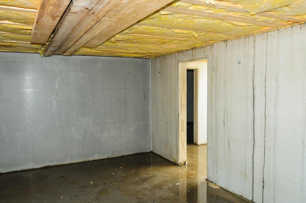 basement encapsulation, evergreen home performance, ME