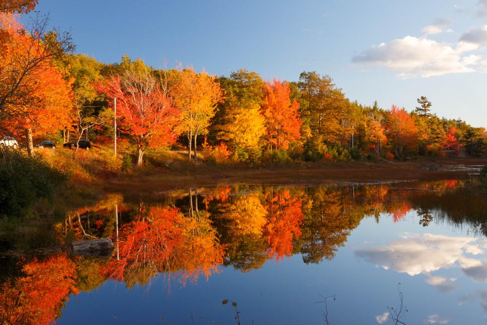 climate change, maine, evergreen home performance, me