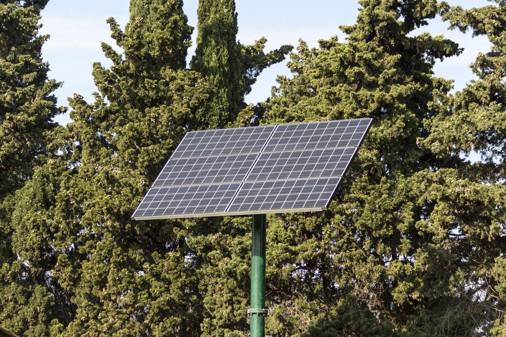 solar panel against forest