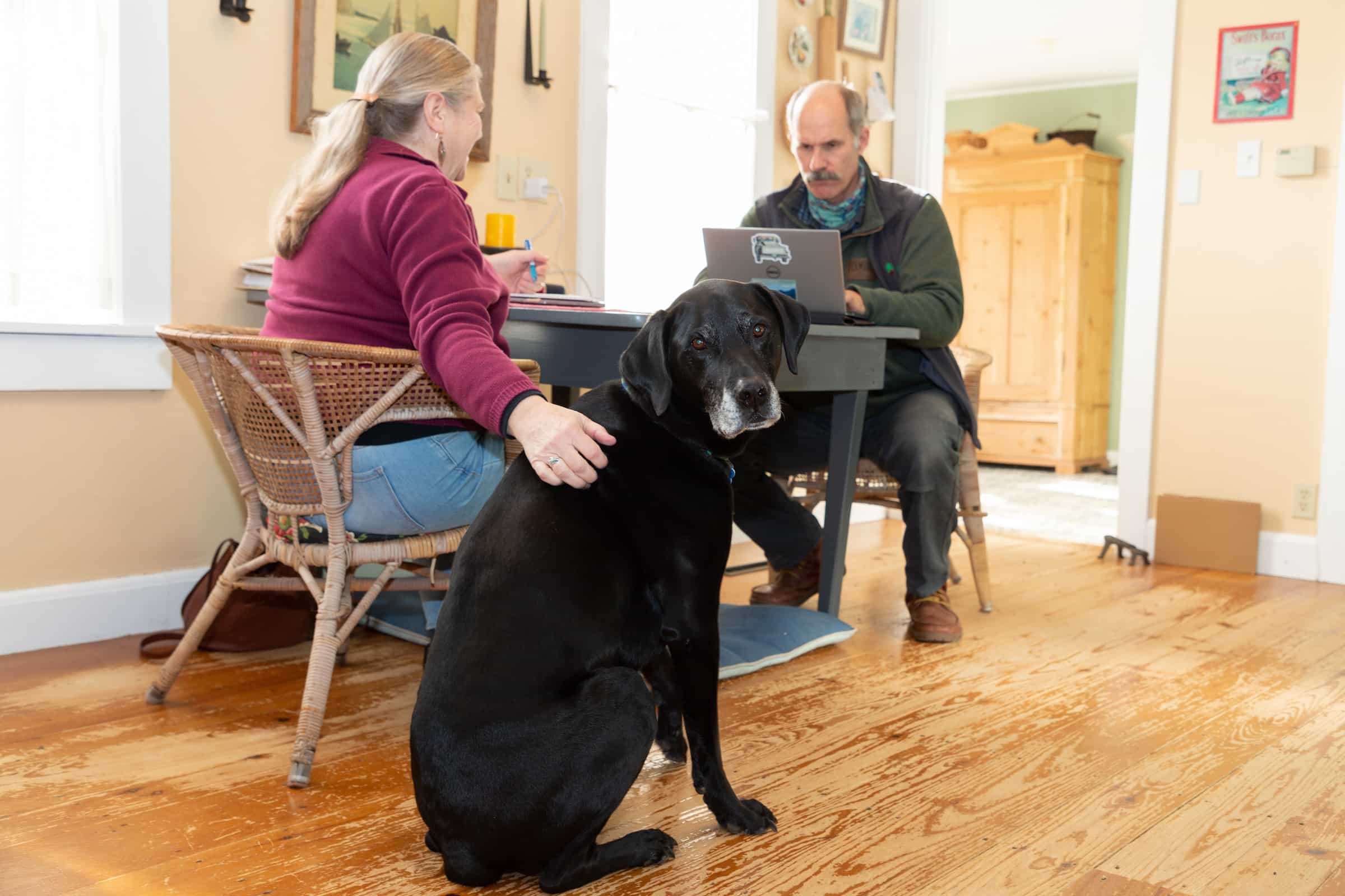 Evergreen Team Meeting With Homeowner At A Table With A Sweet Old Dog Keeping Them Company As They Talk