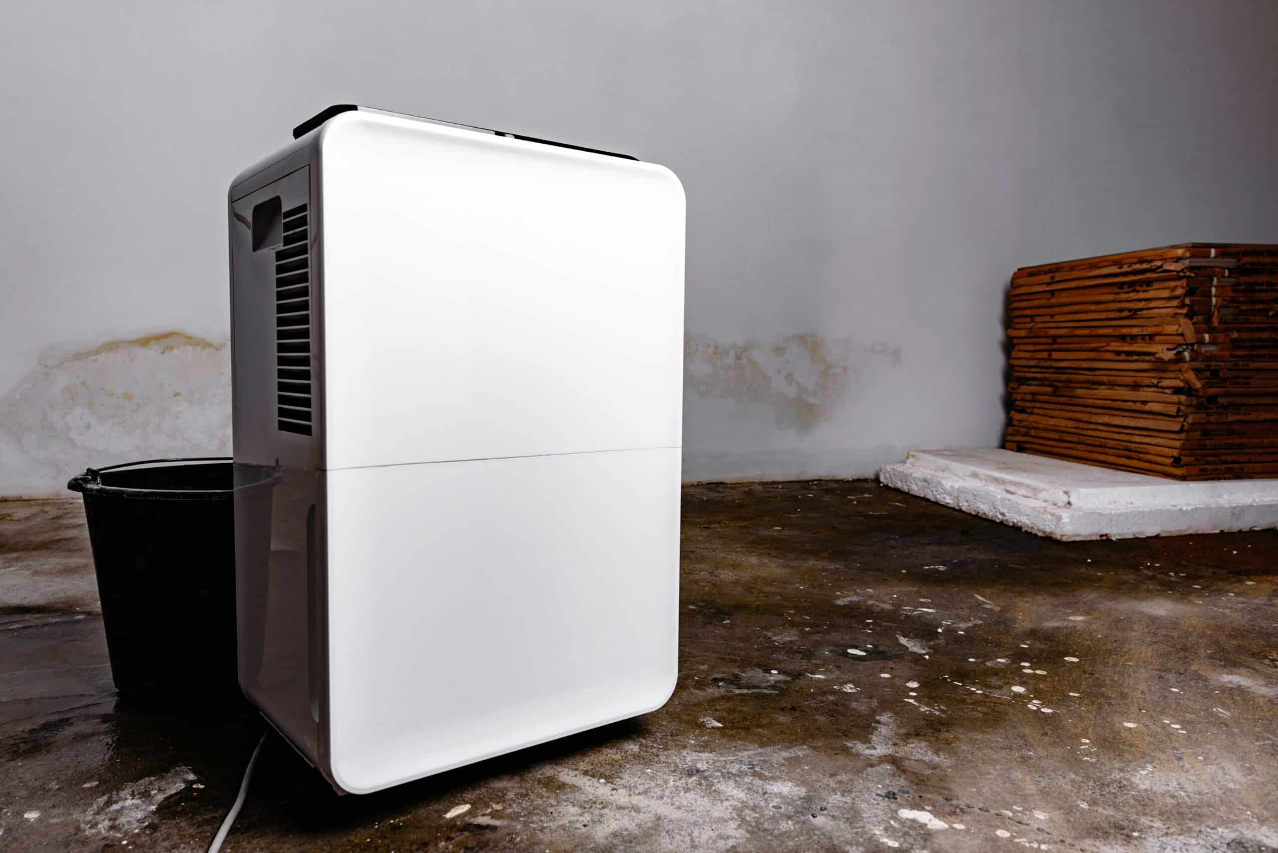 Dehumidifier