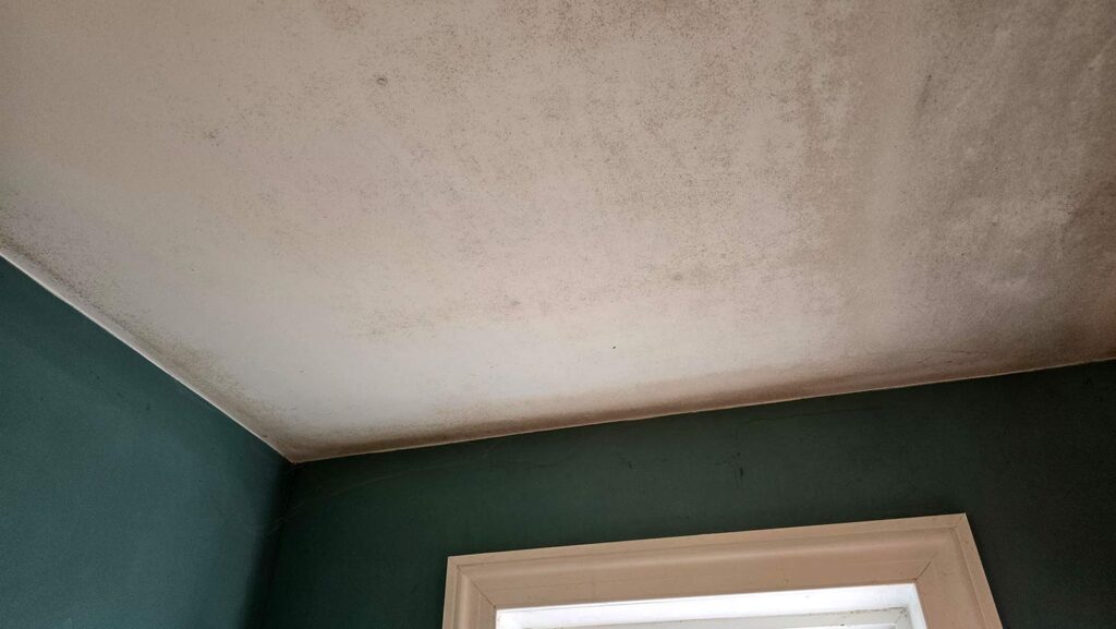 condensation on ceiling