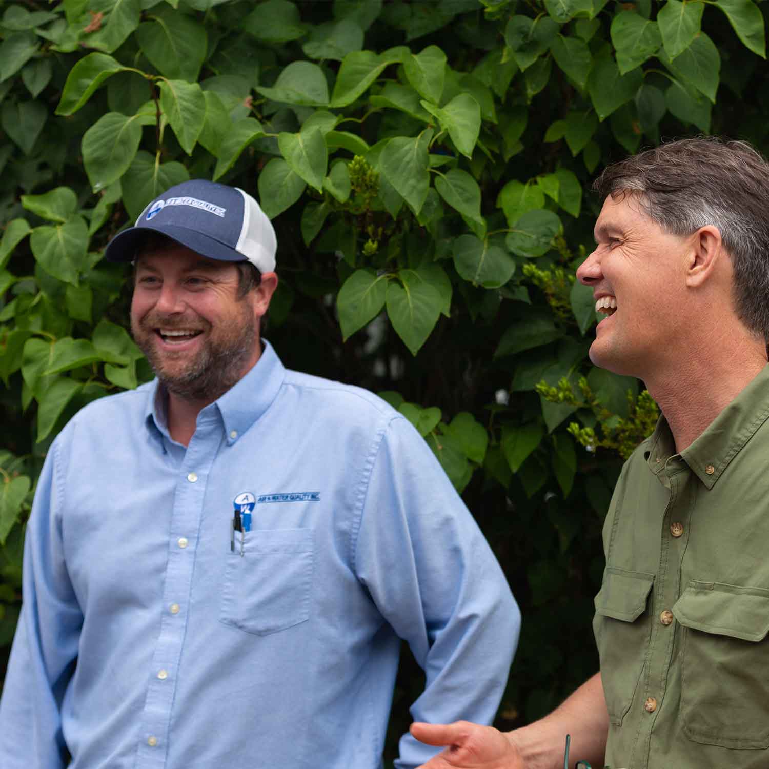 insulation consultation