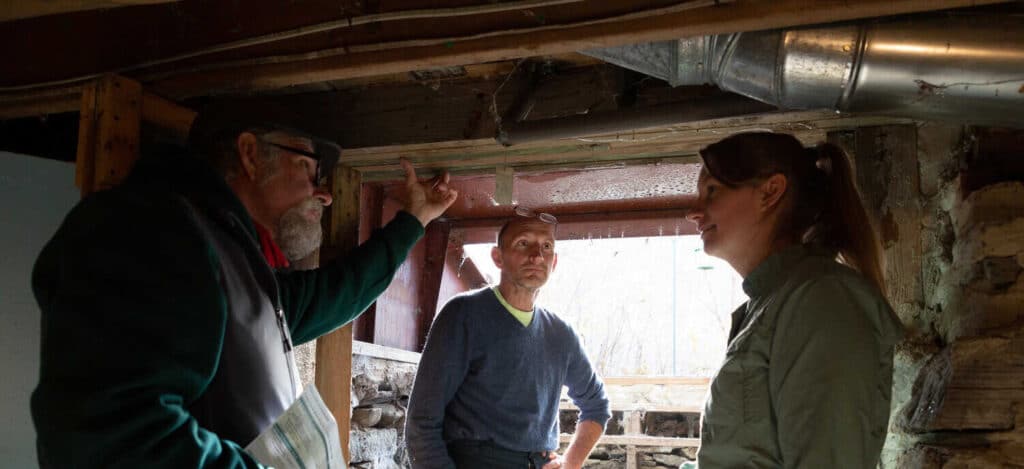 basement assessment