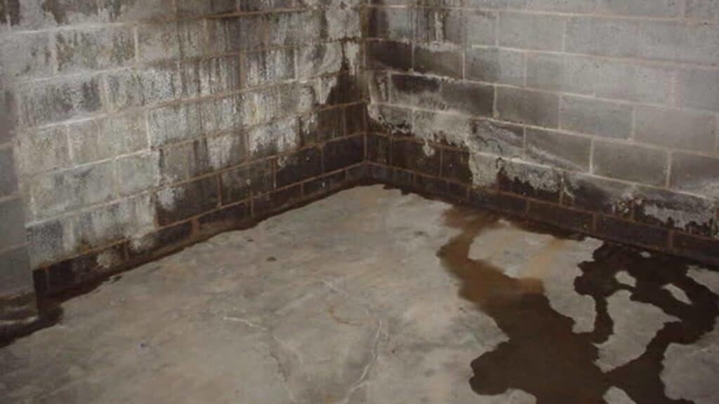 Water pooling on basement floor at foundation wall after heavy rain